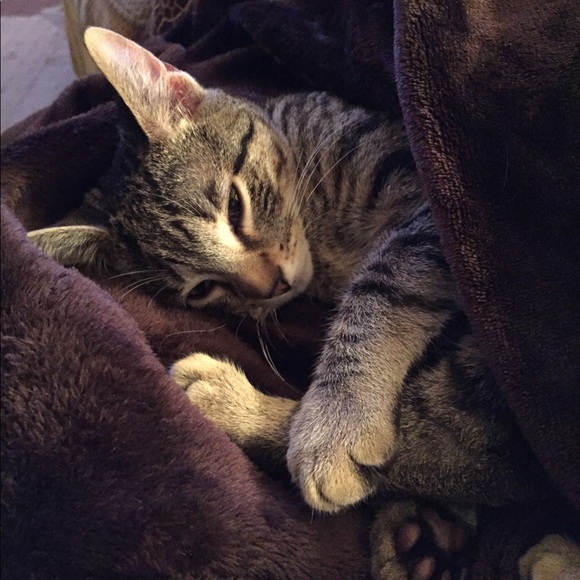 Meet your Posher, Patty - Picture 12 of 12